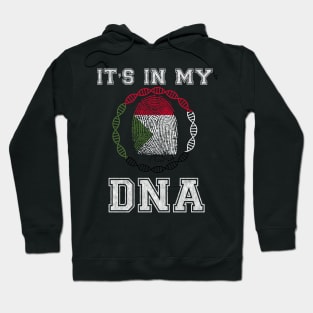 Sudan  It's In My DNA - Gift for Sudanese 2 From Sudan Hoodie